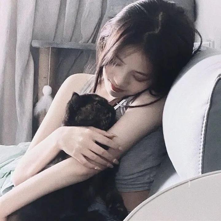 军犬麦斯2：白宫英雄