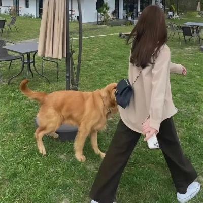 反斗仔得美